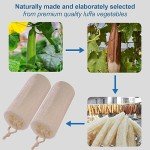 Organic Natural Loofah Sponges - 2 Pack