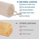 Organic Natural Loofah Sponges - 2 Pack