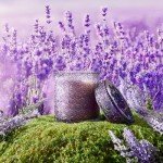 Lavender Vanilla Soy Candle, 15.87oz Eco-Friendly