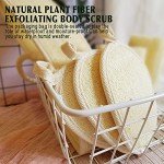 Eco-Friendly Natural Loofah Sponge Set (4 Pack)