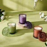 Lavender Vanilla Soy Candle, 15.87oz Eco-Friendly