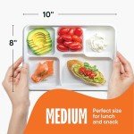 Eco-Friendly 5-Compartment Compostable Paper Plates - 125 Pack