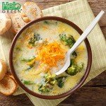 HeloGreen 50 Pack Eco-Friendly Cornstarch Soup Spoons