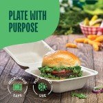 Compostable 6x6" Clamshell Takeout Containers - 50-Pack