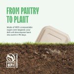 Compostable 6x6" Clamshell Takeout Containers - 50-Pack