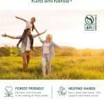 Compostable 6x6" Clamshell Takeout Containers - 50-Pack