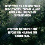 Eco-Friendly Bamboo Toilet Paper - 24 Mega Rolls