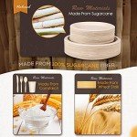 350pcs Eco-Friendly Compostable Paper Plates Set
