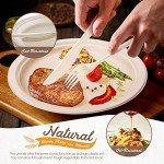 350pcs Eco-Friendly Compostable Paper Plates Set