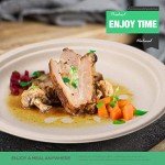 350pcs Eco-Friendly Compostable Paper Plates Set