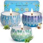 Eco-Friendly Scented Candles Gift Set - 3 Pack