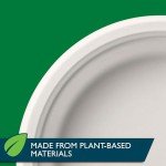 Hefty ECOSAVE Compostable Paper Plates - 45 Count