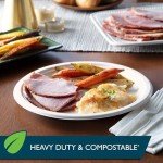 Hefty ECOSAVE Compostable Paper Plates - 45 Count