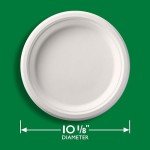Hefty ECOSAVE Compostable Paper Plates - 45 Count