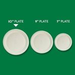 Hefty ECOSAVE Compostable Paper Plates - 45 Count