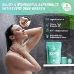 Organic Eucalyptus & Mint Shower Steamers 5-Pack