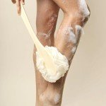 EcoTools EcoPouf Loofah Bath Brush with Handle