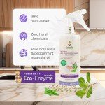 Eco-Friendly Pineapple Enzyme All-Purpose Cleaner Spray
