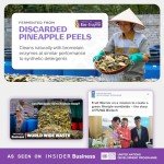 Eco-Friendly Pineapple Enzyme All-Purpose Cleaner Spray