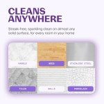 Eco-Friendly Pineapple Enzyme All-Purpose Cleaner Spray