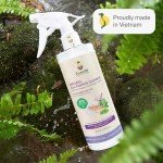 Eco-Friendly Pineapple Enzyme All-Purpose Cleaner Spray