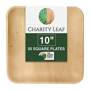 Biodegradable 10" Palm Leaf Plates (50-pack)