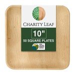 Biodegradable 10" Palm Leaf Plates (50-pack)