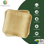 Biodegradable 10" Palm Leaf Plates (50-pack)