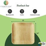 Biodegradable 10" Palm Leaf Plates (50-pack)