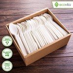 Ecovita 100% Compostable Large Disposable Spoons