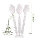 Ecovita 100% Compostable Large Disposable Spoons