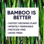 Eco-Friendly Bamboo Toilet Paper - 12 Rolls