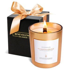 Eucalyptus Orange Soy Candles with Wood Wick
