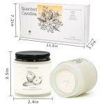 8 Pack Natural Soy Scented Candles Set