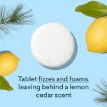 Blueland Eco-Friendly Toilet Bowl Cleaner Set