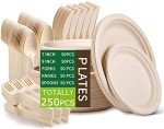 Biodegradable Paper Plates and Cutlery Set for 50