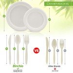 250 Eco-Friendly Biodegradable Paper Plates & Utensils