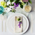 250 Eco-Friendly Biodegradable Paper Plates & Utensils