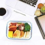 8-Pack BPA-Free Glass Meal Prep Containers