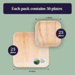 Eco-Friendly Kijani Palm Leaf Plates - 50 Pack