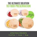 Eco-Friendly Glass Containers with Bamboo Lids - 4 Pack
