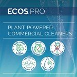 Eco-Friendly All-Purpose Cleaner - Parsley Plus 6-Pack
