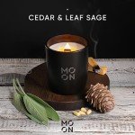 Cedar & Leaf Sage Eco-Friendly Scented Candles