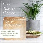 Compostable 6-Inch Square Palm Leaf Plates