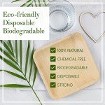 Compostable 6-Inch Square Palm Leaf Plates
