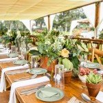 Eco-Friendly Sage Green Paper Plates and Napkins