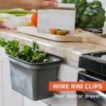 Eco-Friendly Food Scrap Collector and Compost Bin