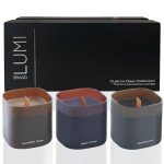 Dusk to Dawn Scented Soy Candle Set