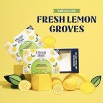 Dissolvable Toilet Bowl Cleaner Sheets - Lemon Scent