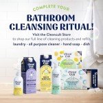 Dissolvable Toilet Bowl Cleaner Sheets - Lemon Scent